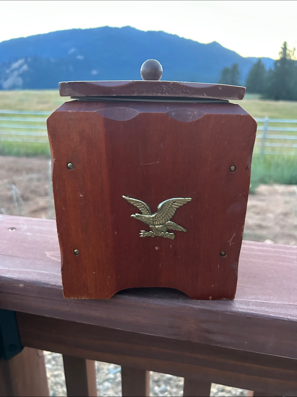 Vintage Wooden Ice Bucket Decorative Box with Brass Eagle